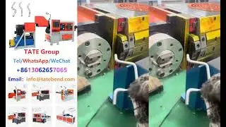 2D 3D CNC Wire Bending Machine Manufacturer Supplier Best Price in South Africa Vietnam Algeria Iran