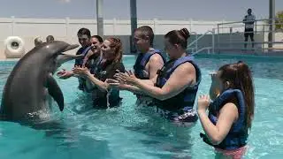 Gulfarium Marine Adventure Park