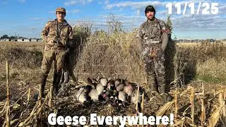 Indiana Opener! [2 Man Limit of Geese]