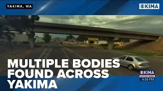 Multiple Bodies Found Across Yakima