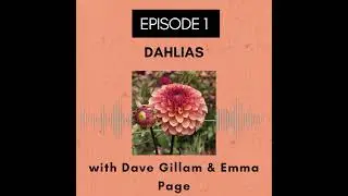 Episode 1 - Dahlias