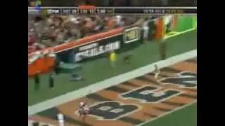 Carson Palmer Highlights