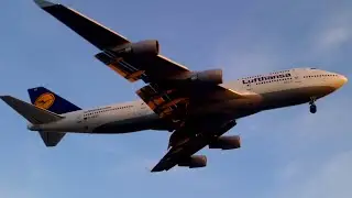 Lufthansa 747-400 [D-ABVO] Landing Rwy 24R @ Toronto/YYZ