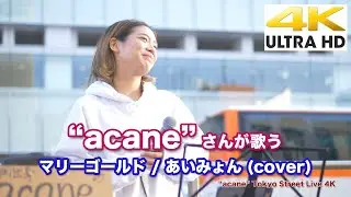 【4K】&ldquo;acane&rdquo;  マリーゴールド / あいみょん（cover）4K動画