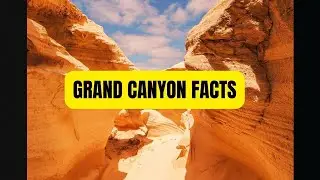 The Official Guide to Grand Canyon National Park Facts