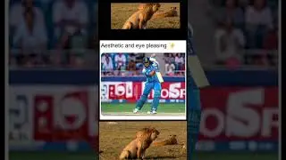 😂 Indian Cricket Meme That Every Fan Will Relate To | #shorts #cricket #indiancricket #memes #lion