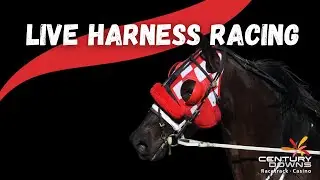 Live Horse Racing at Century Downs