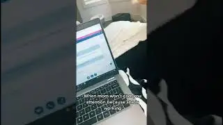 When You Don't Give Your Cat Attention For :001 Seconds