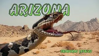 ARIZONA: Criaturas letales y venenosas | Documental Episodio 1