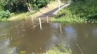 Canungra Rivers & Creeks No Yowies or Bigfoots Today