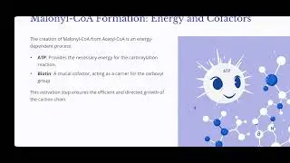 L21- Metabolic pathways 16