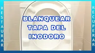 🟠 RECUPERAR BLANCO de la tapa del inodoro (PLASTICOS amarillo)