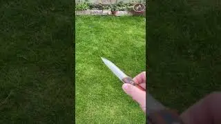 Elmax blade polished