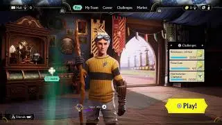 Quidditch Champions World Cup  stage 4