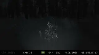 Yukon Rangers | Trail Cams
