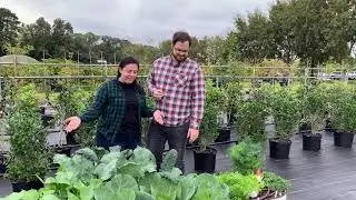 LSU Student Community Garden
