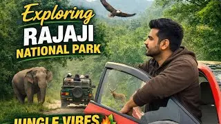 Exploring Rajaji National Park | Chilla Range Forest Adventure 🌿🦌
