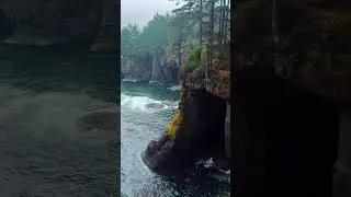Cape Flattery&rsquo;s cliffs, sea caves, and endless horizon reveal nature&rsquo;s most dramatic coastal beauty.