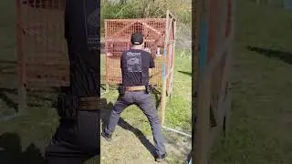 Arex Delta M Tactical Gen.2 - unboxing + prv&eacute; v&yacute;strely