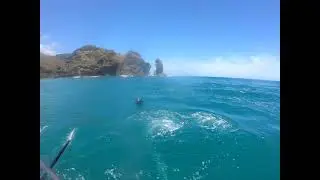 Orewa/Red Beach Gobbies, Piha 2021, Race 3 (GoPro)