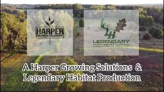 Liquid Nitrogen/Fertilizer Vs Granular Nitrogen/Fertilizer [Brassica Food Plot Trial]