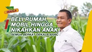 Pernah Terpuruk, DEKALB 9209C Mengubah Hidup Sobat Petani dari Jeneponto!