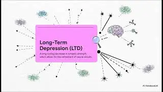Neuron Glia Plasticity