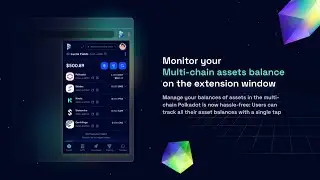 How to use SubWallet 0.0.2