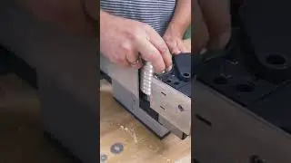 Lebendige Kunst! Moosbild selber bauen