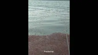 continuing to share habits for accurately locating winter fish dens.