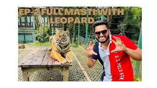 EP-2 IN PHUKET LEOPARD ATTACK SO SCARY😱😱 #DESI SQUAD VLOG #tiger #tigerkingdom