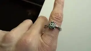 I Bought A Silver Blue Turtle Ring  From Wish!!! | Wish Tiktok Reviews