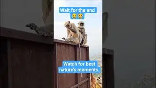 Nature's beauty: Learn to see it everywhere you go | #shorts