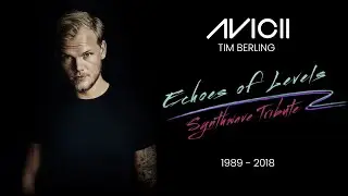 Xynapsis - Echoes of Levels | Nostalgic Avicii Synthwave Tribute