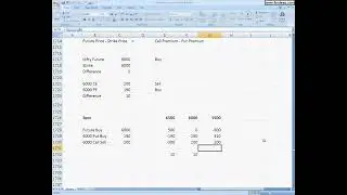 1050A Put Call Parity Strategy YT