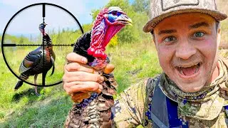 Why YOU MUST get aggressive when turkey hunting!