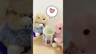 Let&rsquo;s have a Matcha time !