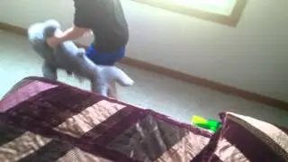 Alien shark