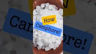 How is Camphor Made? | The Journey from Tree to Remedy