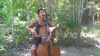 Los Dinosaurios
