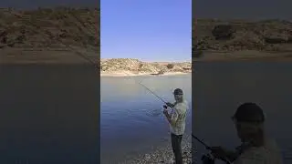 Контроль работы рыбой!#fishing#рыбалканакипре#bassfishing#world#life#bigbass#proangler#рыбалка#bass#