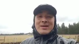 FAQ Can you even wash windows in the rain? Spring Window Cleaning for Bend, Oregon