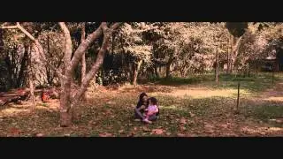 MAES SOLTEIRAS - Filme documentário