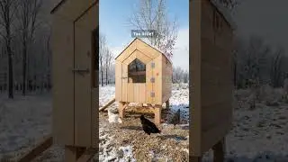Why Your Insulated Coop Still Feels Cold (Common Mistake!)