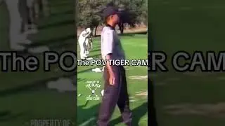 POV TIGER CAM