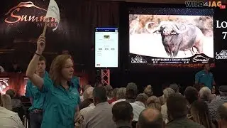 Summit Wildlife Auction 2019