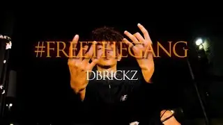 (Official music video) dbrickz-#freedagang S/E by @hatedvisuals 
