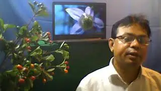 Elements of Social Case Work H 1 Chapter  5  Introduction to Social Work By Md  Shohidul Islam