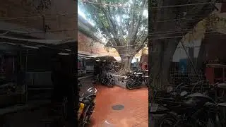 mercado libertad