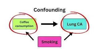 Confounding VS Effect Modification - Biostatistics